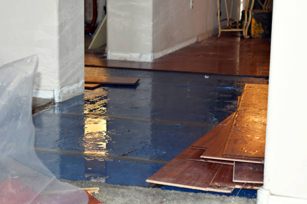 Professional Water Damage Restoration technician working in Wolfforth, TX
